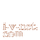 i-v-net.com